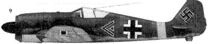 Иллюстрация к книге — Асы люфтваффе. Пилоты Fw 190 на Восточном фронте [pic_19.jpg]