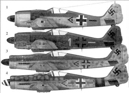 Иллюстрация к книге — Асы люфтваффе. Пилоты Fw 190 на Восточном фронте [pic_8.jpg]