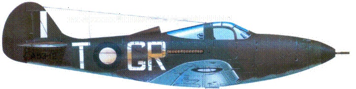 Иллюстрация к книге — Р-39 «Аэрокобра» часть 1 [pic_125.jpg]