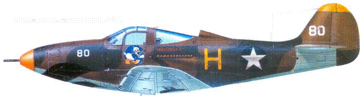 Иллюстрация к книге — Р-39 «Аэрокобра» часть 1 [pic_129.jpg]