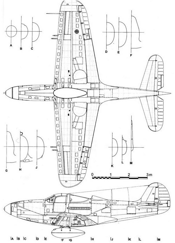 Иллюстрация к книге — Р-39 «Аэрокобра» часть 1 [pic_79.jpg]
