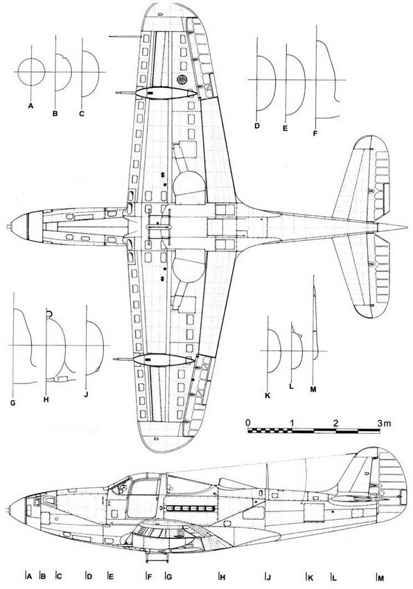 Иллюстрация к книге — Р-39 «Аэрокобра» часть 1 [pic_95.jpg]