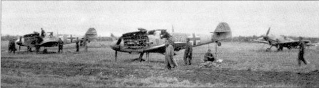 Иллюстрация к книге — Асы Люфтваффе Пилоты люфтваффе Bf 109 на Восточном Фронте [pic_101.jpg]