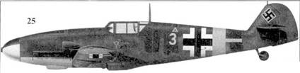 Иллюстрация к книге — Асы Люфтваффе Пилоты люфтваффе Bf 109 на Восточном Фронте [pic_85.jpg]
