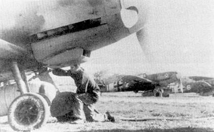 Иллюстрация к книге — Асы Люфтваффе пилоты Bf 109 на Средиземноморье [pic_74.jpg]