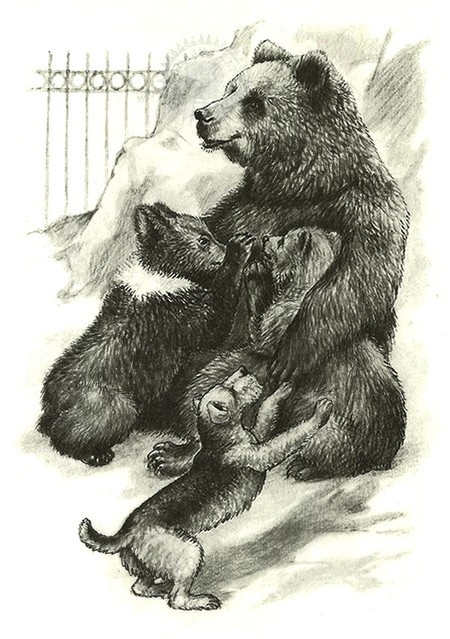 Иллюстрация к книге — Питомцы Зоопарка [i_003.jpg]