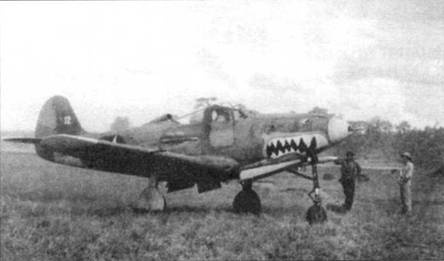 Иллюстрация к книге — Р-39 Airacobra. Модификации и детали конструкции [pic_28.jpg]