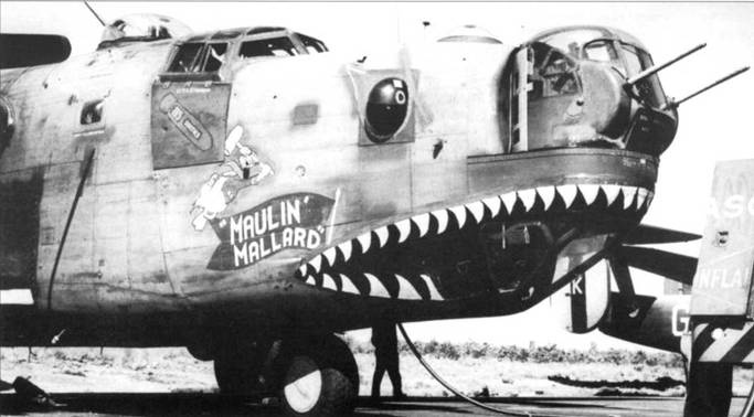 Иллюстрация к книге — B-24 Liberator [pic_221.jpg]