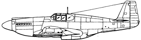 Иллюстрация к книге — Р-51 «Мустанг» [pic_10.jpg]