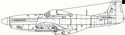 Иллюстрация к книге — Р-51 «Мустанг» [pic_115.jpg]