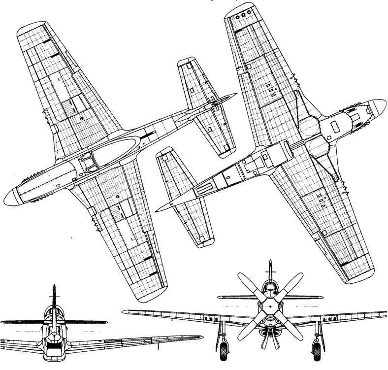 Иллюстрация к книге — Р-51 «Мустанг» [pic_120.jpg]