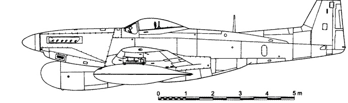 Иллюстрация к книге — Р-51 «Мустанг» [pic_137.jpg]
