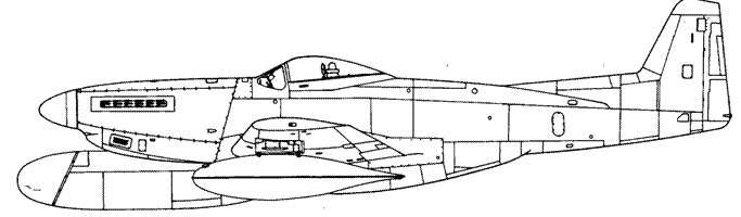 Иллюстрация к книге — Р-51 «Мустанг» [pic_139.jpg]
