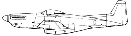 Иллюстрация к книге — Р-51 «Мустанг» [pic_196.jpg]