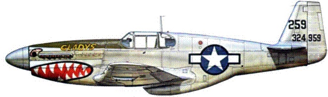 Иллюстрация к книге — Р-51 «Мустанг» [pic_209.jpg]