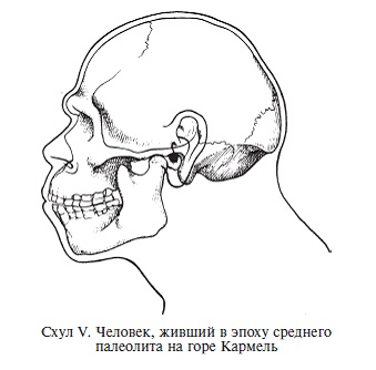 Иллюстрация к книге — Палестина до древних евреев [pic_16.jpg]