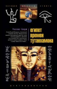 Книга Египет времен Тутанхамона Книга Египет времен Тутанхамона