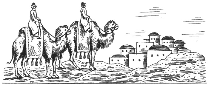 Иллюстрация к книге — Тюрки. Двенадцать лекций по истории тюркских народов Средней Азии [i_011.jpg]