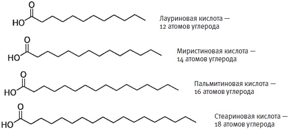 Иллюстрация к книге — Пуговицы Наполеона. Семнадцать молекул, которые изменили мир [i_243.jpg]