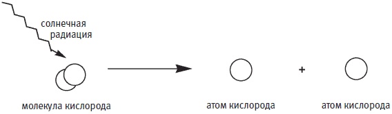 Иллюстрация к книге — Пуговицы Наполеона. Семнадцать молекул, которые изменили мир [i_263.jpg]