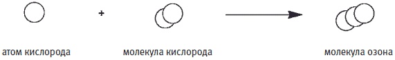 Иллюстрация к книге — Пуговицы Наполеона. Семнадцать молекул, которые изменили мир [i_264.jpg]