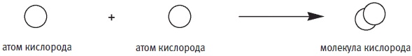 Иллюстрация к книге — Пуговицы Наполеона. Семнадцать молекул, которые изменили мир [i_266.jpg]