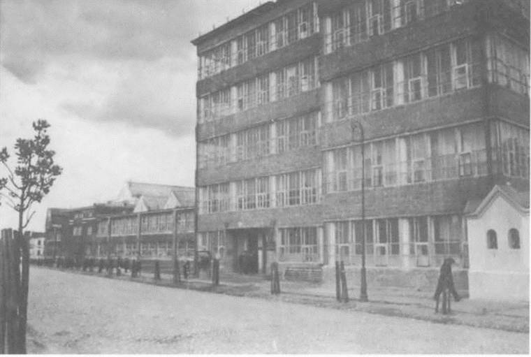 Иллюстрация к книге — Террор и демократия в эпоху Сталина. Социальная динамика репрессий [i_003.jpg]