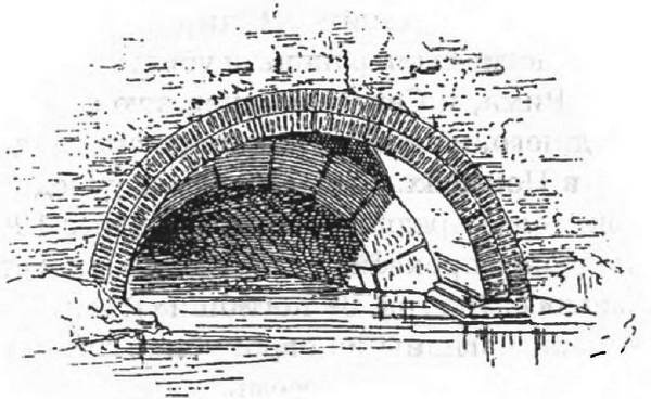 Иллюстрация к книге — Голосуйте за Цезаря [i_003.jpg]