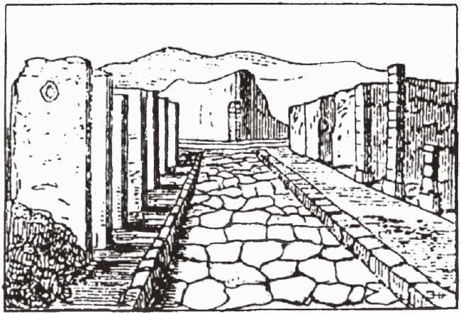 Иллюстрация к книге — Голосуйте за Цезаря [i_008.jpg]