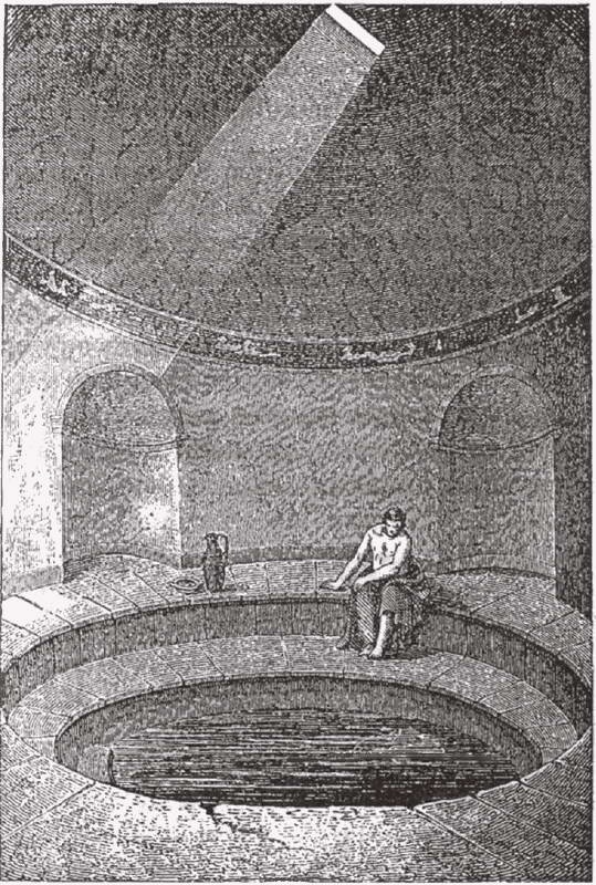 Иллюстрация к книге — Голосуйте за Цезаря [i_012.jpg]