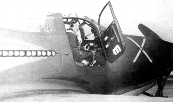Иллюстрация к книге — ИСТРЕБИТЕЛЬ P-63 «КИНГКОБРА» [i_025.jpg]