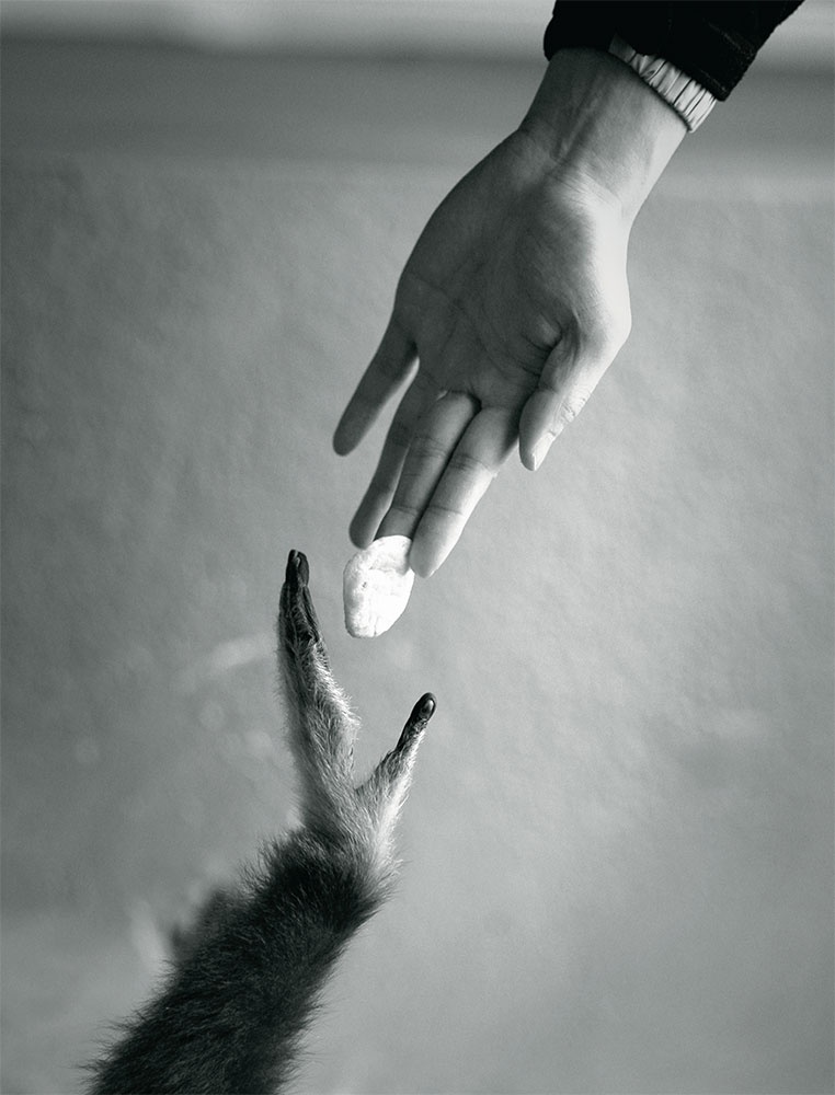 Иллюстрация к книге — LYKKE. Секреты самых счастливых людей [i_018.jpg]