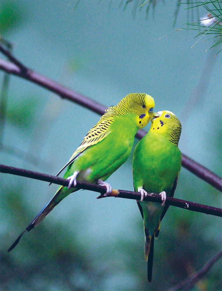 Иллюстрация к книге — LYKKE. Секреты самых счастливых людей [i_053.jpg]