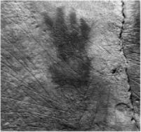 Доисторическая Европа Доисторическая Европа