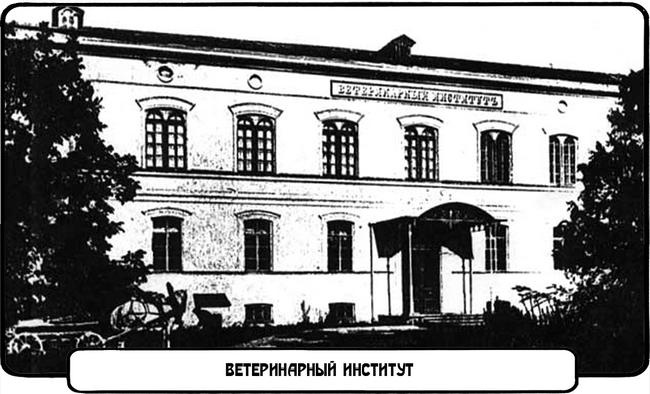 Фуэте на Бурсацком спуске