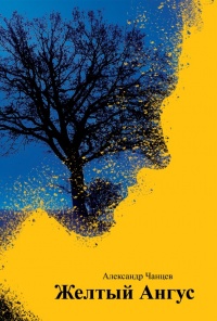 Книга Желтый Ангус Книга Желтый Ангус