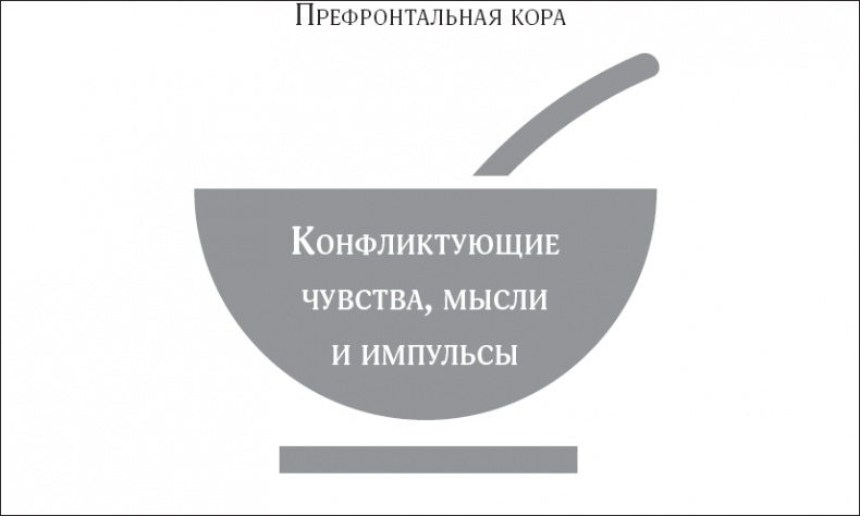 Иллюстрация к книге — Покой, игра, развитие [_5.jpg]