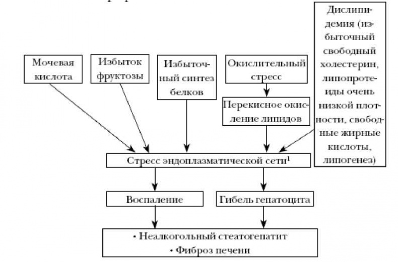 Иллюстрация к книге — Секреты вечной молодости [image18.jpg]