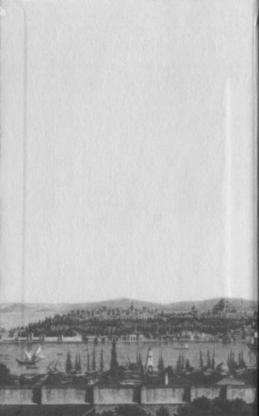 Иллюстрация к книге — Повседневная жизнь Стамбула в эпоху Сулеймана Великолепного [i_001.jpg]