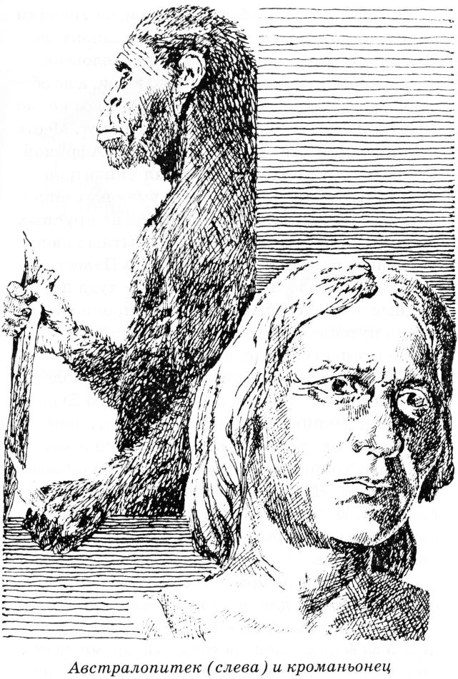 Иллюстрация к книге — Тайны древнего мира [untitled04.jpg]