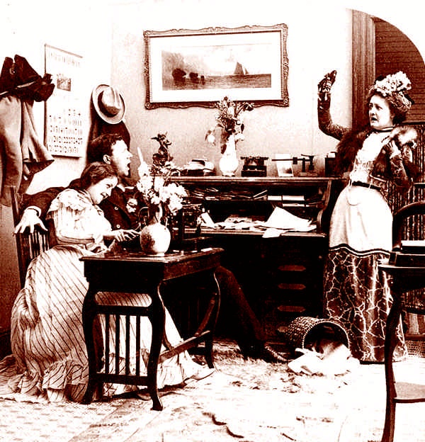 Иллюстрация к книге — Это неприлично. Руководство по сексу, манерам и премудростям замужества для викторианской леди [i_139.jpg]