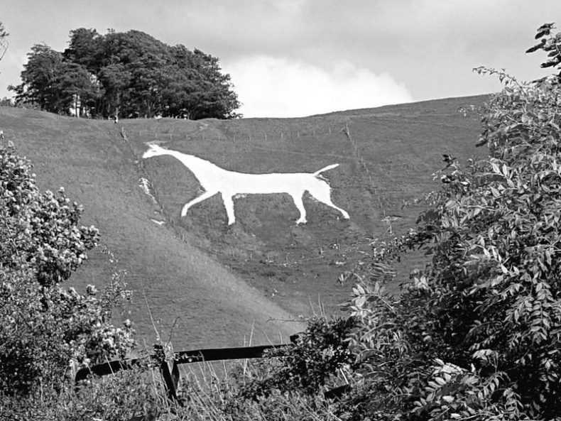 Иллюстрация к книге — 5 O&#039;clock и другие традиции Англии [i_014.jpg]