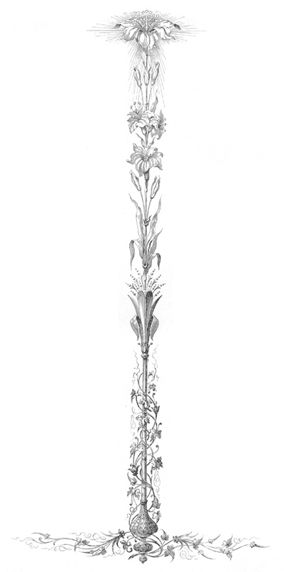 Иллюстрация к книге — Царские трапезы и забавы. Быт, нравы, развлечения, торжества и кулинарные пристрастия русских царей [autogen_ebook_id20.jpg]