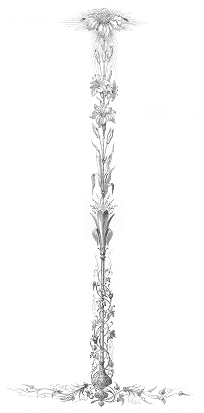 Иллюстрация к книге — Царские трапезы и забавы. Быт, нравы, развлечения, торжества и кулинарные пристрастия русских царей [autogen_ebook_id27.jpg]