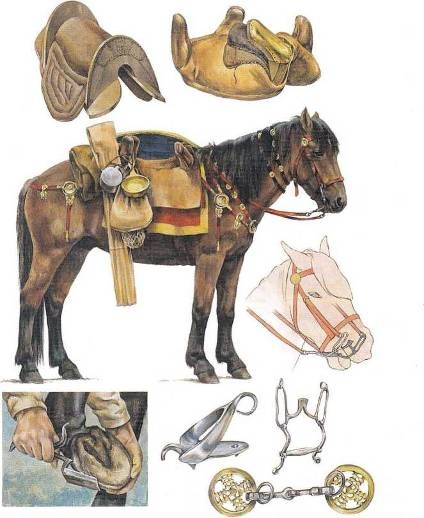 Иллюстрация к книге — Рим и его враги. Карфагеняне, греки и варвары [doc2fb_image_020000a2.jpg]