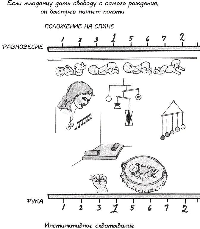 Иллюстрация к книге — Монтессори с самого начала. От 0 до 3 лет [i_001.jpg]