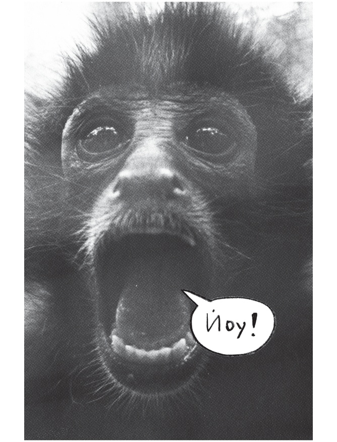 Иллюстрация к книге — Заставь его замолчать. Как победить внутреннего критика и начать действовать [i_010.jpg]