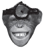 Иллюстрация к книге — Заставь его замолчать. Как победить внутреннего критика и начать действовать [i_028.jpg]