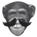 Иллюстрация к книге — Заставь его замолчать. Как победить внутреннего критика и начать действовать [i_031.jpg]