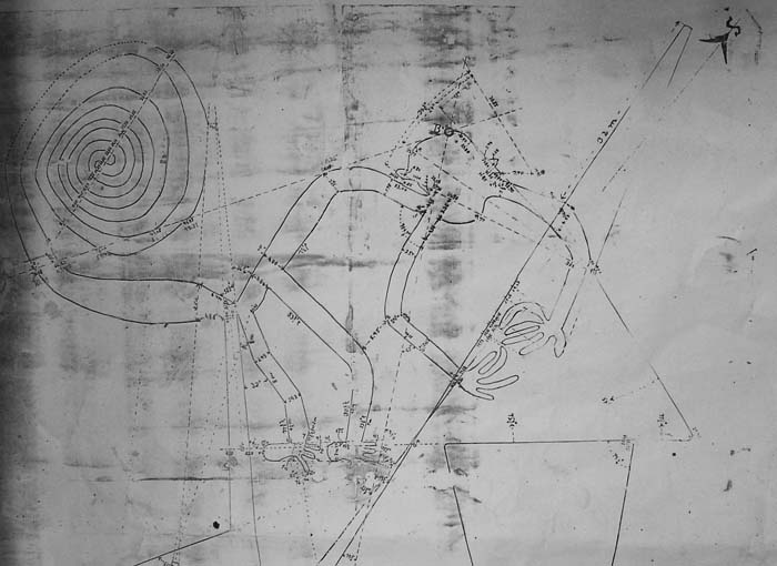 Иллюстрация к книге — Наска. Гигантские рисунки на полях [any2fbimgloader43.jpg]